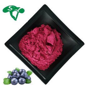Blueberry Powder Manufacturer - Organic Fruit Extract & Factory Direct Sale