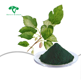 Chlorophyll Ketone Sodium Salt Manufacturer - Natural Mulberry Leaf Extract & High Quality