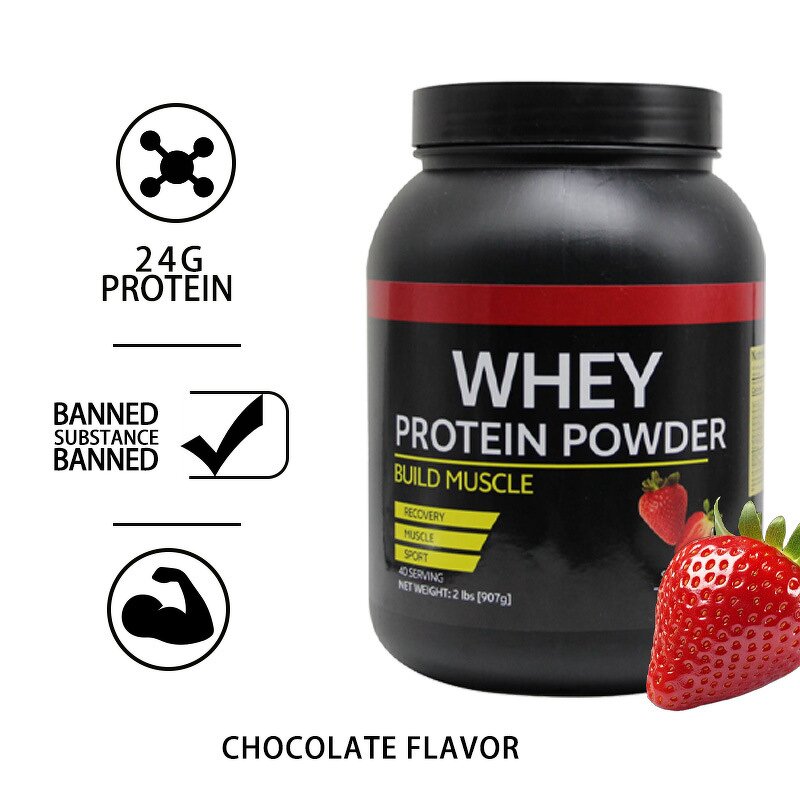 Whey Protein Powder Manufacturer - Strawberry High Protein for Muscle & Immunity