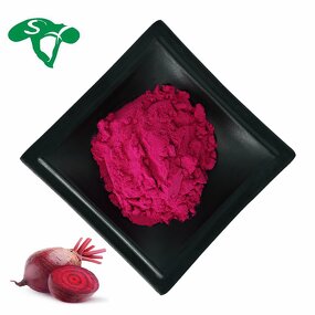 Beet Root Extract Powder Manufacturer - 100% Vitamin B9 & Sanxin Factory Supply