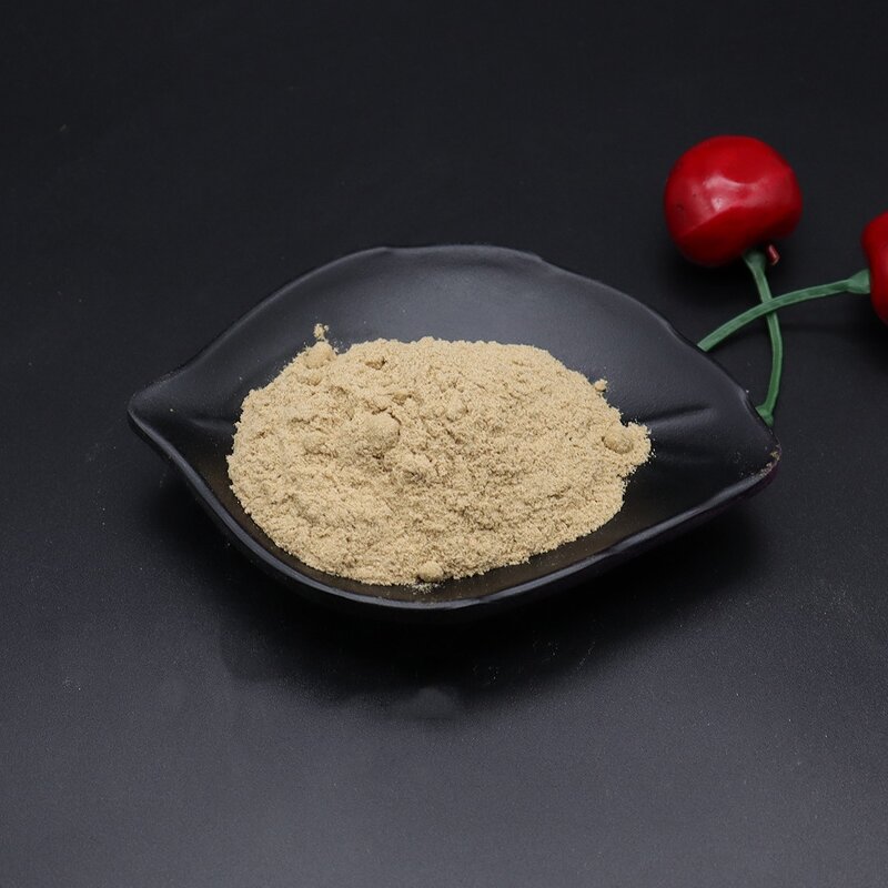 Panax Notoginseng Saponins Powder Manufacturer - 30% Natural High Quality