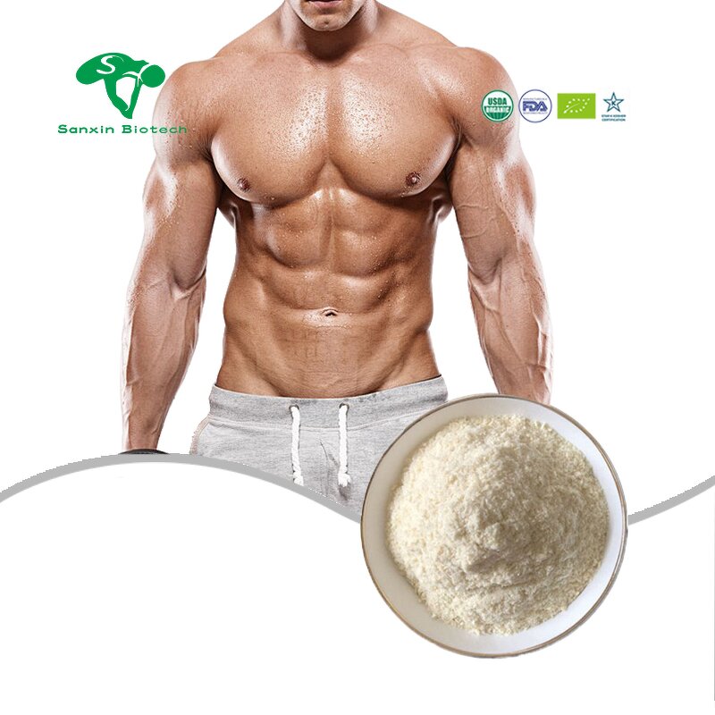 Whey Isolate Protein Powder Manufacturer - WPI for Muscle Growth & Wholesale