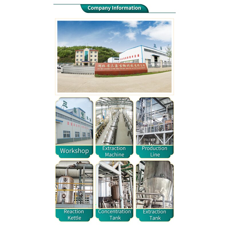 Sesamin Powder Manufacturer - 98% Black Sesame Seed Extract High Purity & Manufacture