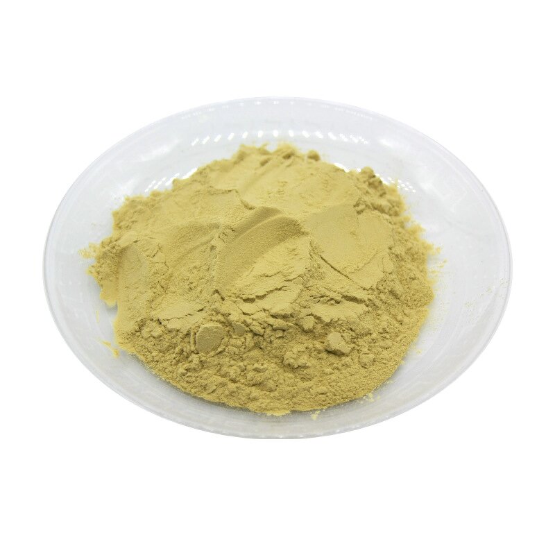 Panax Notoginseng Saponins Powder Manufacturer - 30% Natural High Quality