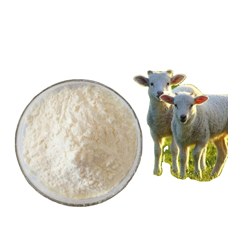 Egg Albumin Peptide Manufacturer - Ovalbumin Protein & Factory Supply