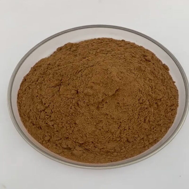 Tongkat Ali Powder Manufacturer - Eurycoma Longifolia Root Extract 10:1 & High Quality