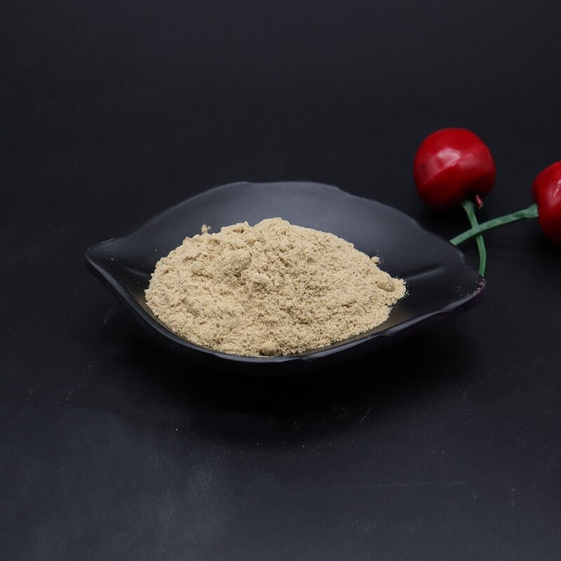 Panax Notoginseng Saponins Powder Manufacturer - 30% Natural High Quality