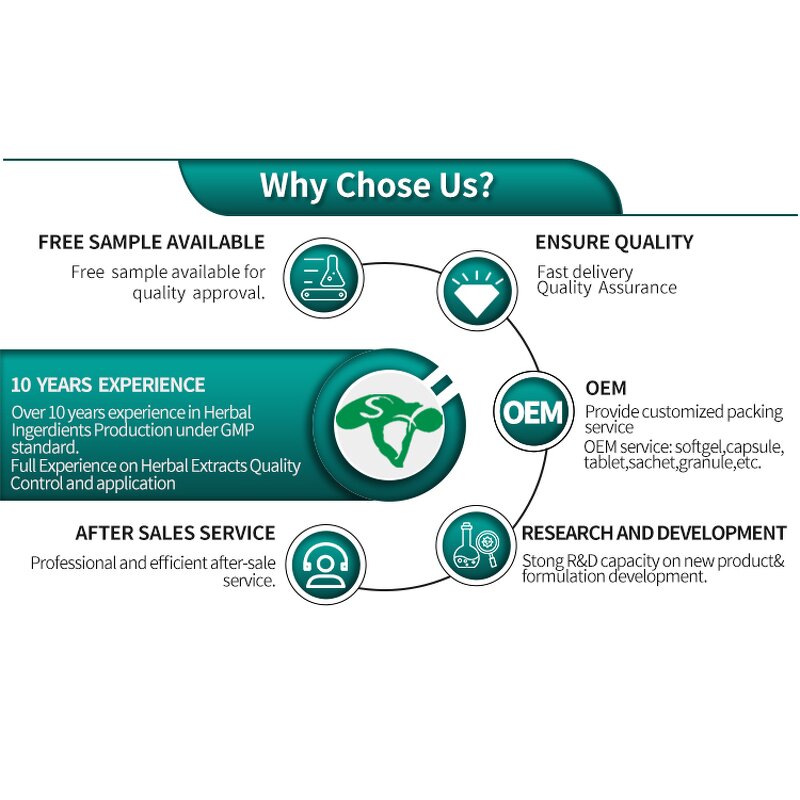 Sesamin Powder Manufacturer - 98% Black Sesame Seed Extract High Purity & Manufacture