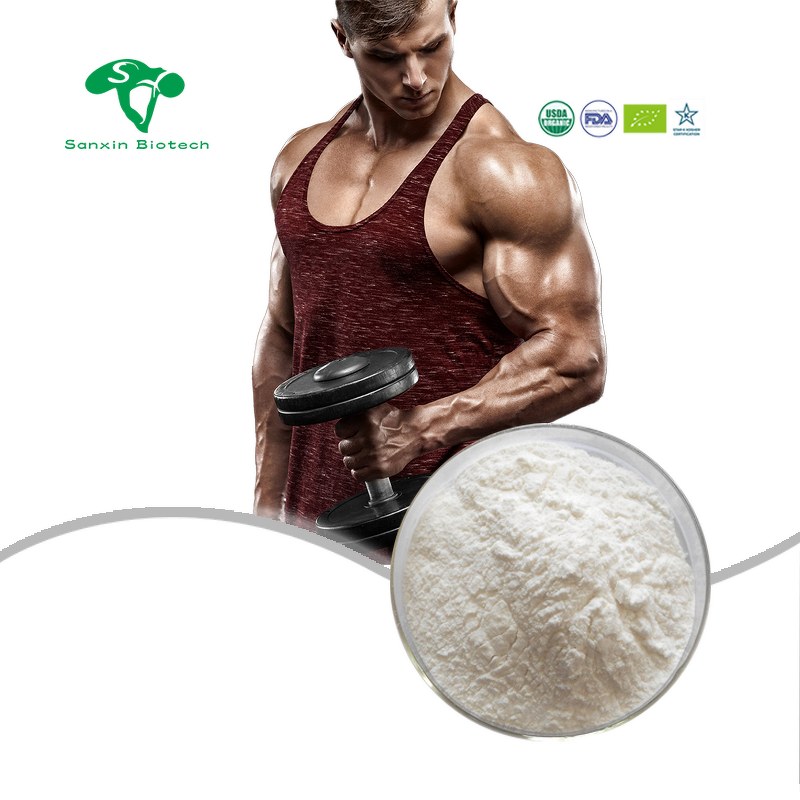 Whey Protein Powder Manufacturer - WPC Concentrate Food Supplement & Wholesale