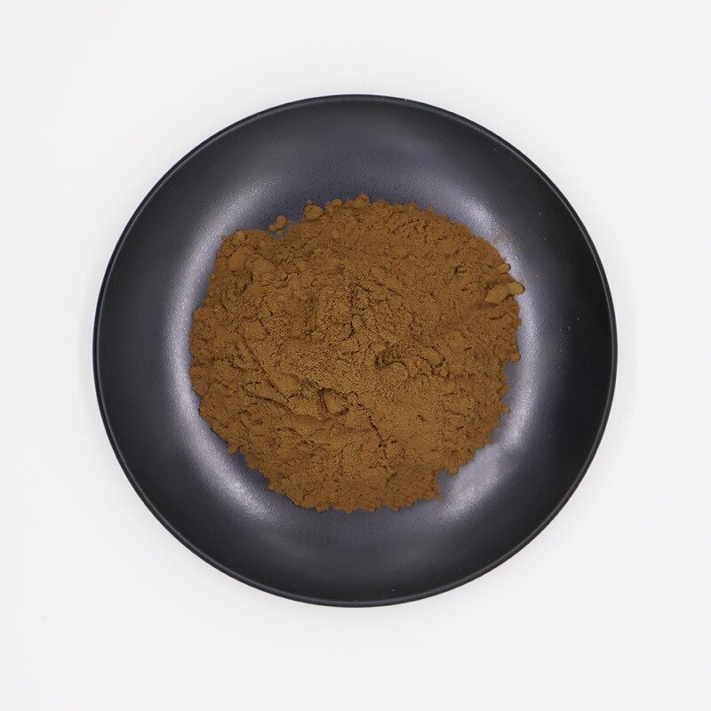 Lion's Mane Mushroom Powder Manufacturer - Hericium Erinaceus Natural Pure & Factory