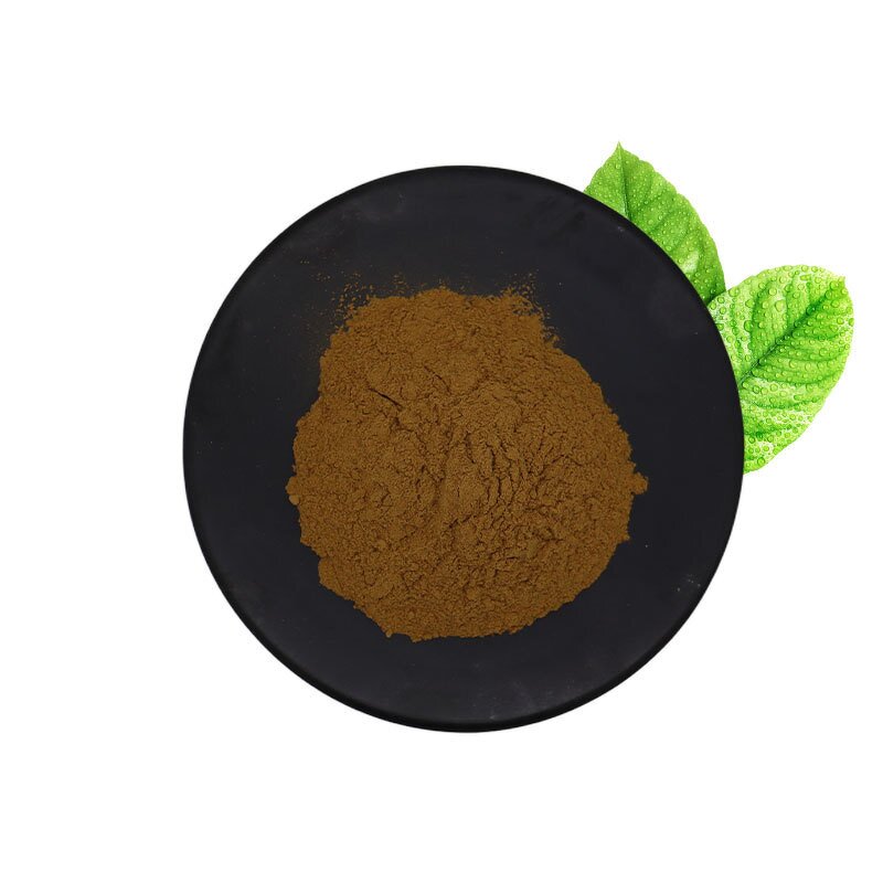 Lion's Mane Mushroom Powder Manufacturer - Hericium Erinaceus Natural Pure & Factory
