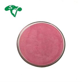 Vitamin B12 Powder Manufacturer - CAS 68-19-9 Premium Plant Extract & Factory Supply