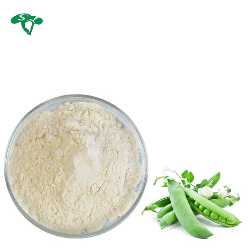 Broccoli Powder Manufacturer - 1% Sulforaphane Seed Extract Natural & Wholesale