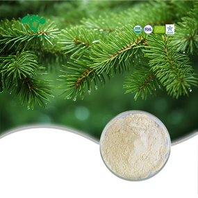 Taxifolin Powder Manufacturer - 98% Dihydroquercetin Larch Extract & Factory Supply