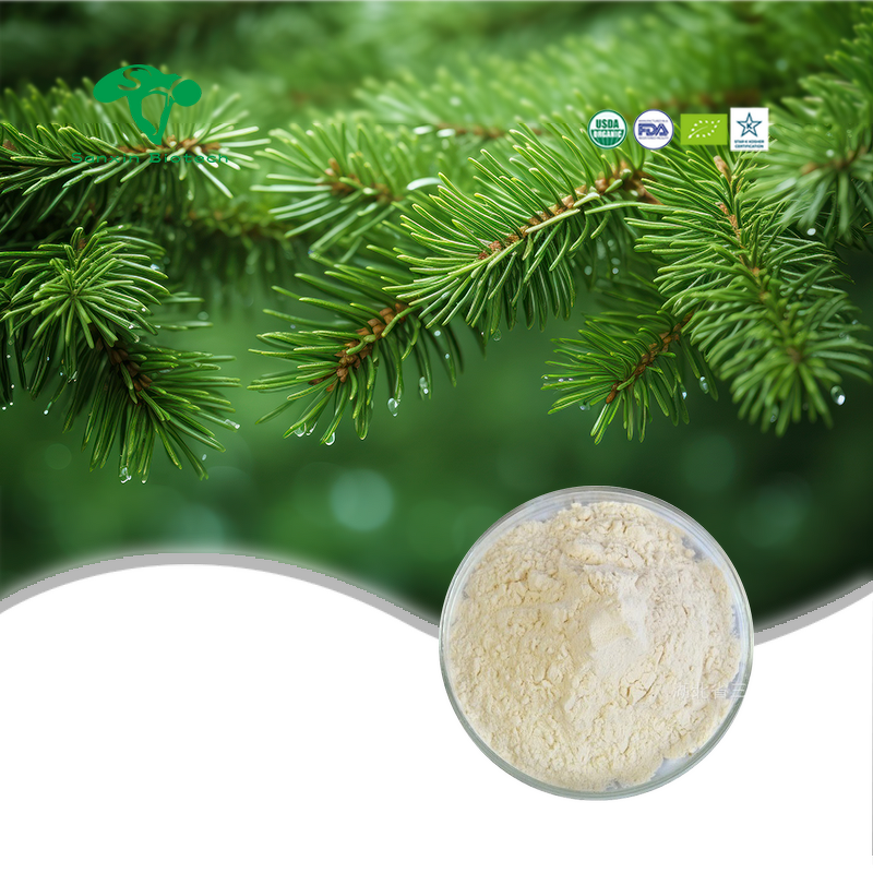 Taxifolin Powder Manufacturer - 98% Dihydroquercetin Larch Extract & Factory Supply