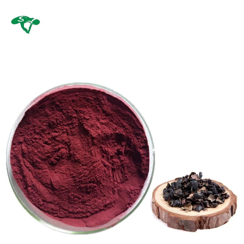 Sesamin Powder Manufacturer - 98% Black Sesame Seed Extract High Purity & Manufacture