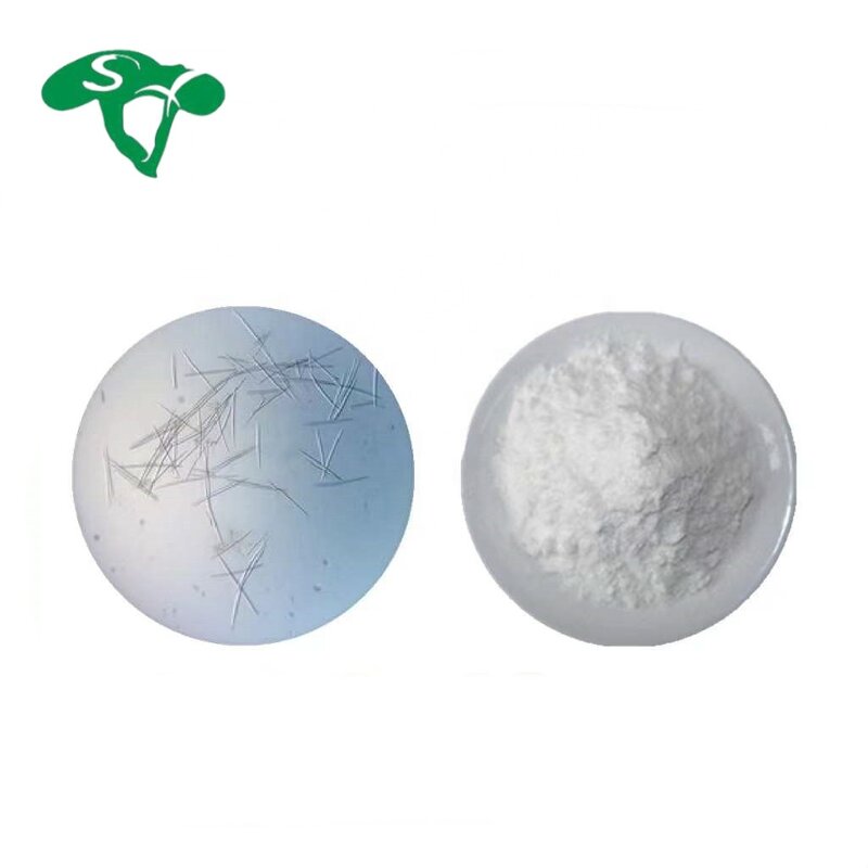 Sponge Spicule Powder Manufacturer - 70% 98% Spongilla Lacustris Hydrolyzed & Cosmetic