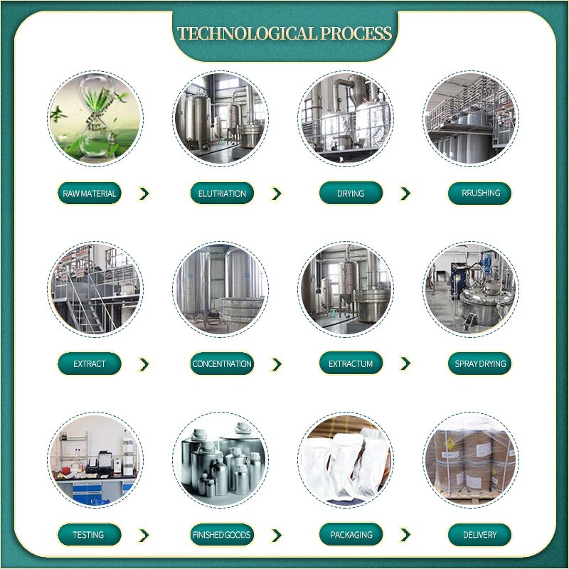 Apple Fruit Powder Manufacturer - Green Organic Additives-free & Sanxin Certified