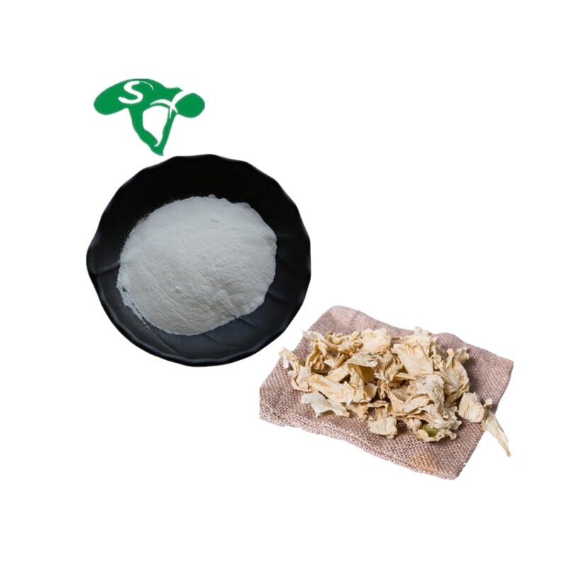 Dihydroberberine Powder Manufacturer - Coptis Chinensis Extract Natural