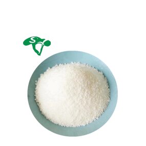 Rosmarinic Acid Powder Manufacturer - 50% Rosemary Leaf Extract & Natural