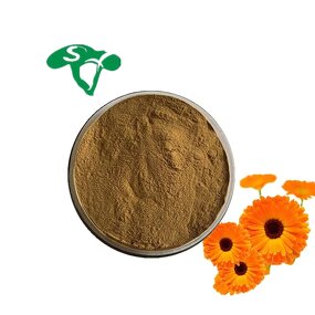 Phloretin Powder Manufacturer - 95% 98% Apple Peel Extract & Factory Supply Organic