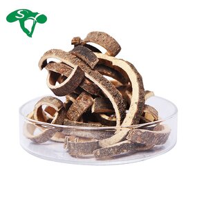 Maqui Berry Powder Manufacturer - Fruit Extract Water Soluble Food Grade & High Quality