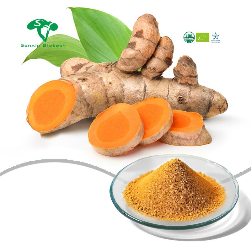 Liposome Curcumin Powder Manufacturer - Water-Soluble Turmeric Extract & Factory Supply