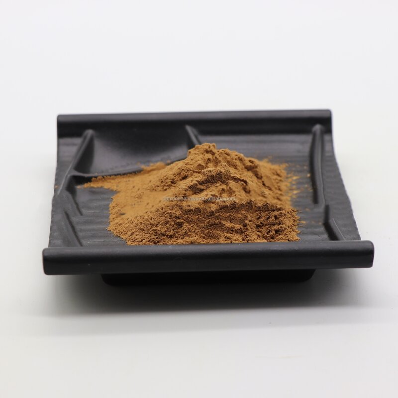 Liposome Oleuropein Powder Manufacturer - 40% Pure Olive Leaf Extract & Supplied