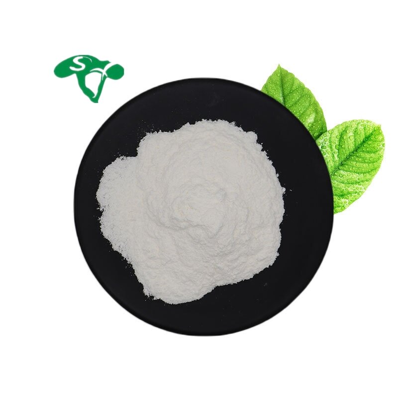 EGCG Powder Manufacturer - 98% Green Tea Extract for Health Food & Factory Supply