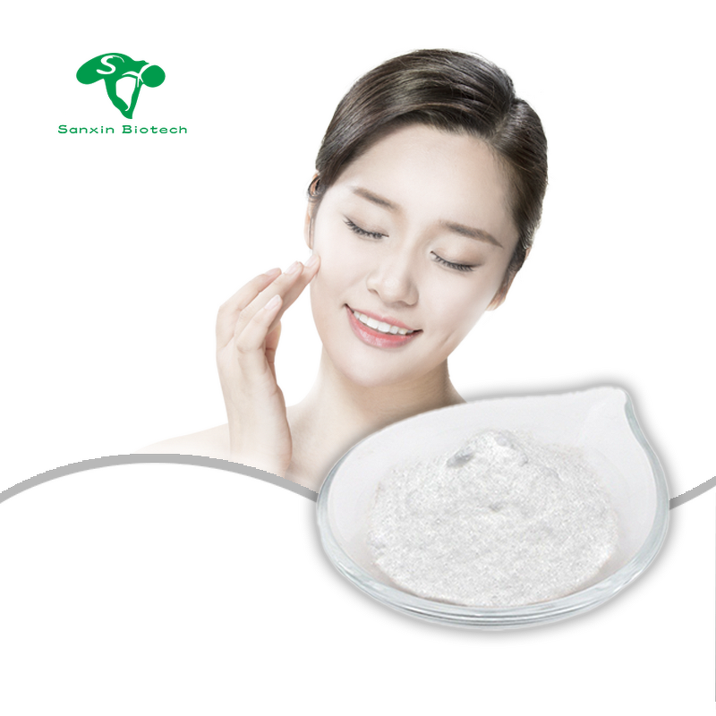 Sponge Spicule Powder Manufacturer - 70% 98% Spongilla Lacustris Hydrolyzed & Cosmetic