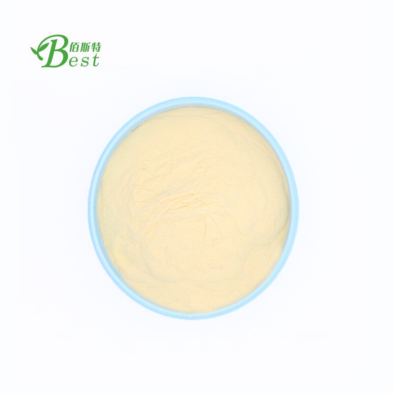 Panax Notoginseng Saponins Powder Manufacturer - 30% Natural High Quality
