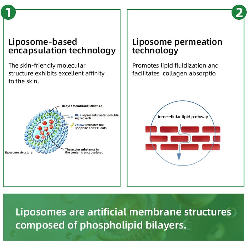 Liposome Resveratrol Powder Manufacturer - 60% Liposomal & Factory Supply