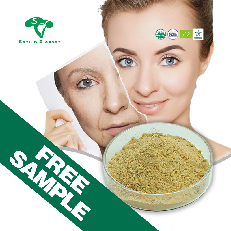 Hydroxytyrosol Powder Manufacturer - 70% Oleuropein from Olive Leaf & Wholesale