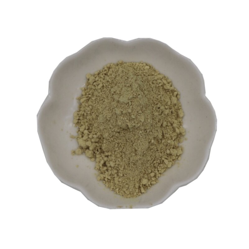 Hydroxytyrosol Powder Manufacturer - 70% Oleuropein from Olive Leaf & Wholesale