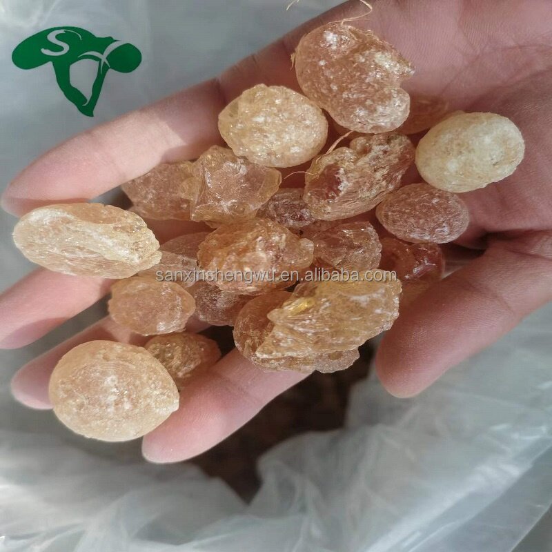 Polygonatum Pills Manufacturer - Herbal Supplements & Hot Sale