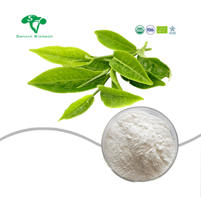 EGCG Powder Manufacturer - 98% Green Tea Extract for Health Food & Factory Supply