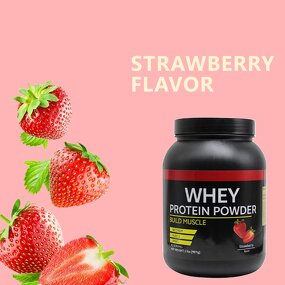 Whey Protein Powder Manufacturer - Strawberry High Protein for Muscle & Immunity