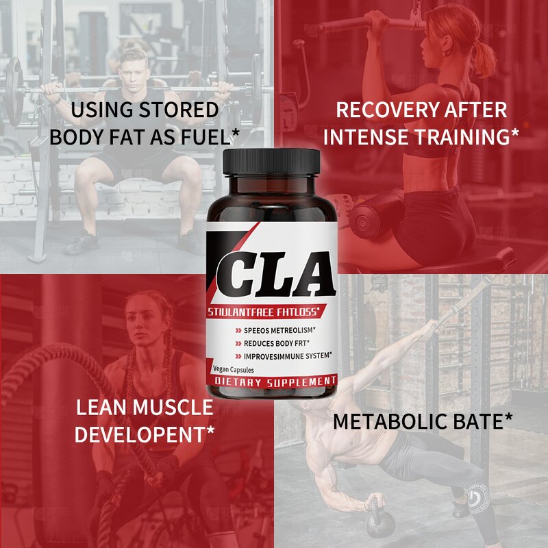 CLA Capsules Manufacturer - Conjugated Linoleic Acid for Weight Management & Bulk