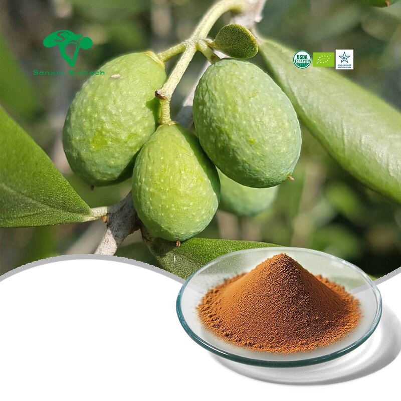 Liposome Oleuropein Powder Manufacturer - 40% Pure Olive Leaf Extract & Supplied