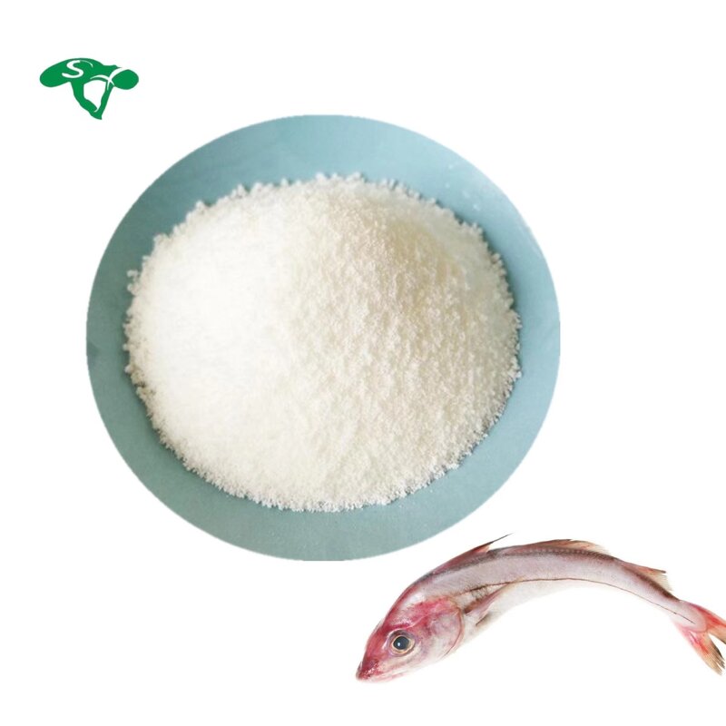 Egg Albumin Peptide Manufacturer - Ovalbumin Protein & Factory Supply