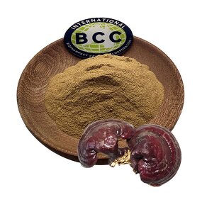 Ganoderma Lucidum Extract Powder Manufacturer - Lingzhi Reishi Mushroom & Bulk Organic