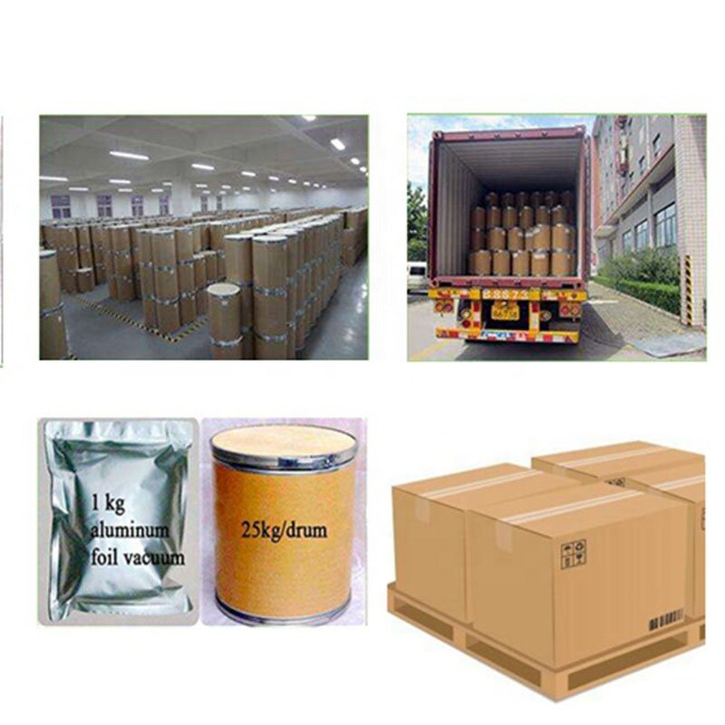 Cordyceps Militaris Powder Manufacturer - 0.3% 1% 3% Cordycepin & Bulk