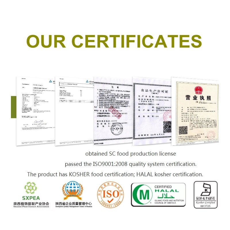 Phlorizin Powder Manufacturer - 98% Pure Apple Tree Bark Extract CAS 60-81-1