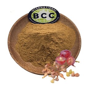 Grape Seed Extract Powder Manufacturer - 10:1 20:1 30:1 50:1