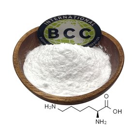 L-Lysine Powder Manufacturer - Food Grade CAS 56-87-1 Hot Selling & Wholesale