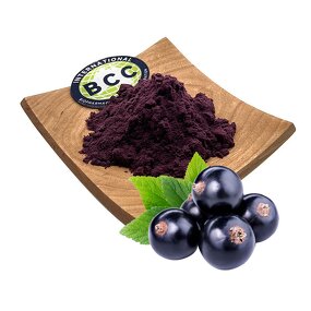 Blackcurrant Powder Manufacturer - Organic Freeze Dried Extract & Wholesale Bulk