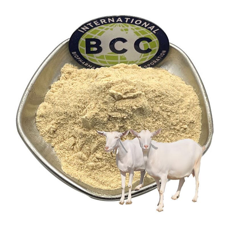 Sheep Placenta Extract Powder Manufacturer - Freeze Dried High Quality & Factory Price