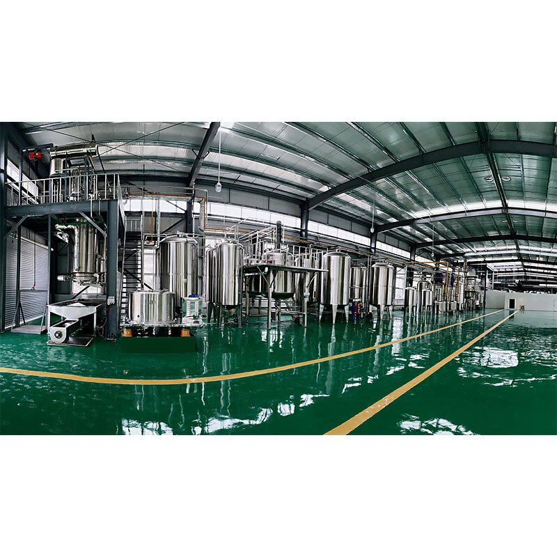 Pleurotus Ostreatus Extract Powder Manufacturer - 10%~50% Polysaccharide Oyster Mushroom & Bulk