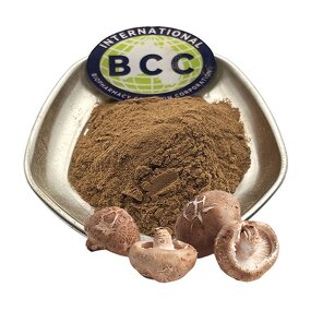 Shiitake Mushroom Powder Manufacturer - Lentinus Edodes Extract & Bulk