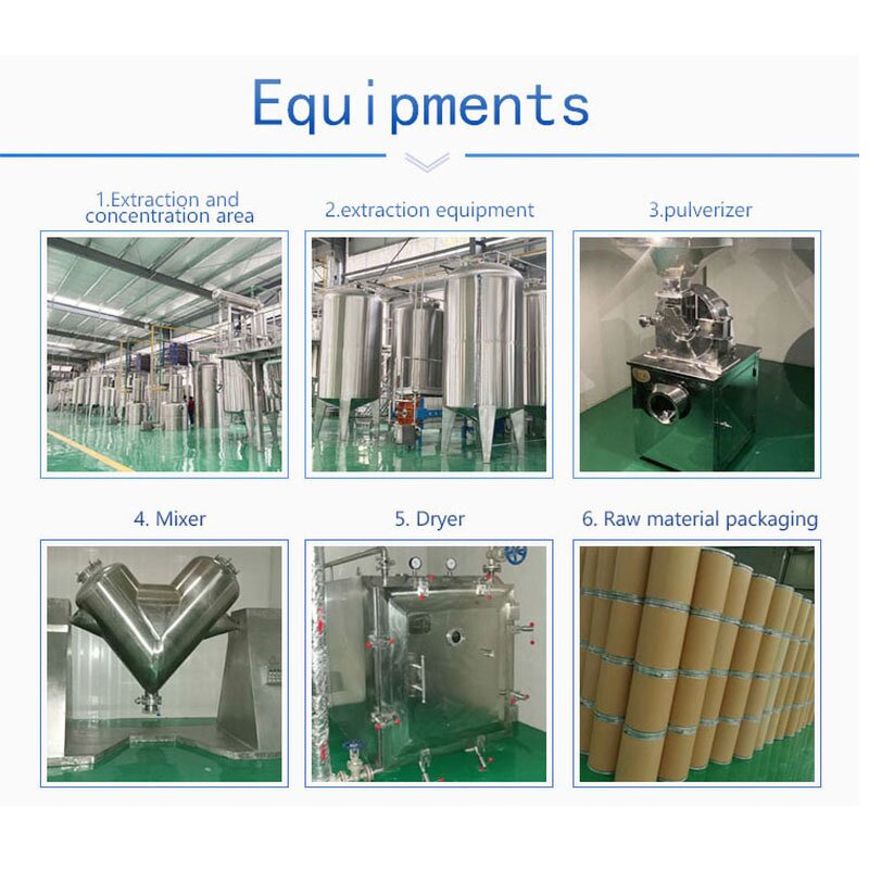 Raspberry Fruit Powder Manufacturer - Freeze Dried Natural High Quality